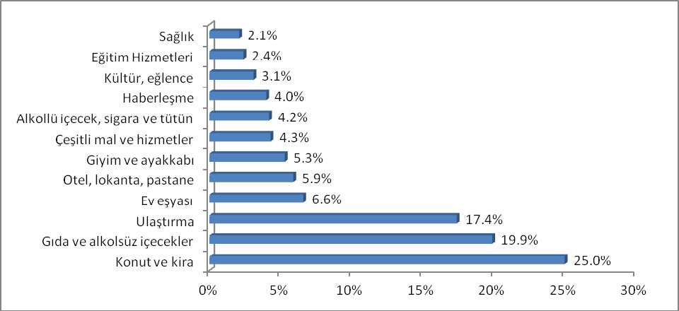 Grafik1: Harcama türlerine göre hanehalkı tüketim harcamalarının dağılımı, Türkiye, 2013 Türkiye de 2013 yılında hanehalkları tarafından