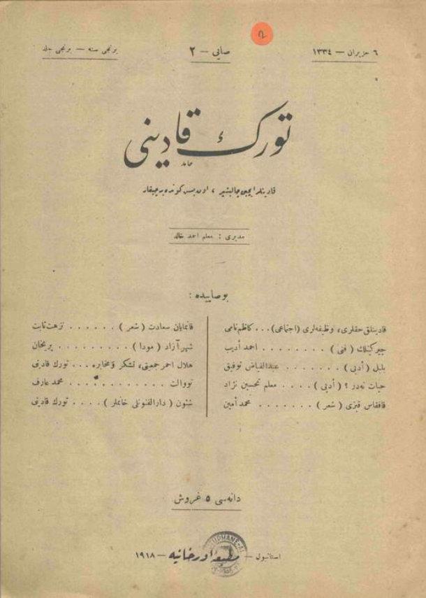 Türk Kadını 1918 yılında yayınlanmıştır. İstanbul da 15 günde bir çıkarılan dergi 21 Mayıs 1918 tarihli ilk sayısında amacının kadınlara, memlekete ve istikbale hizmet etmek olduğunu belirtmiştir.