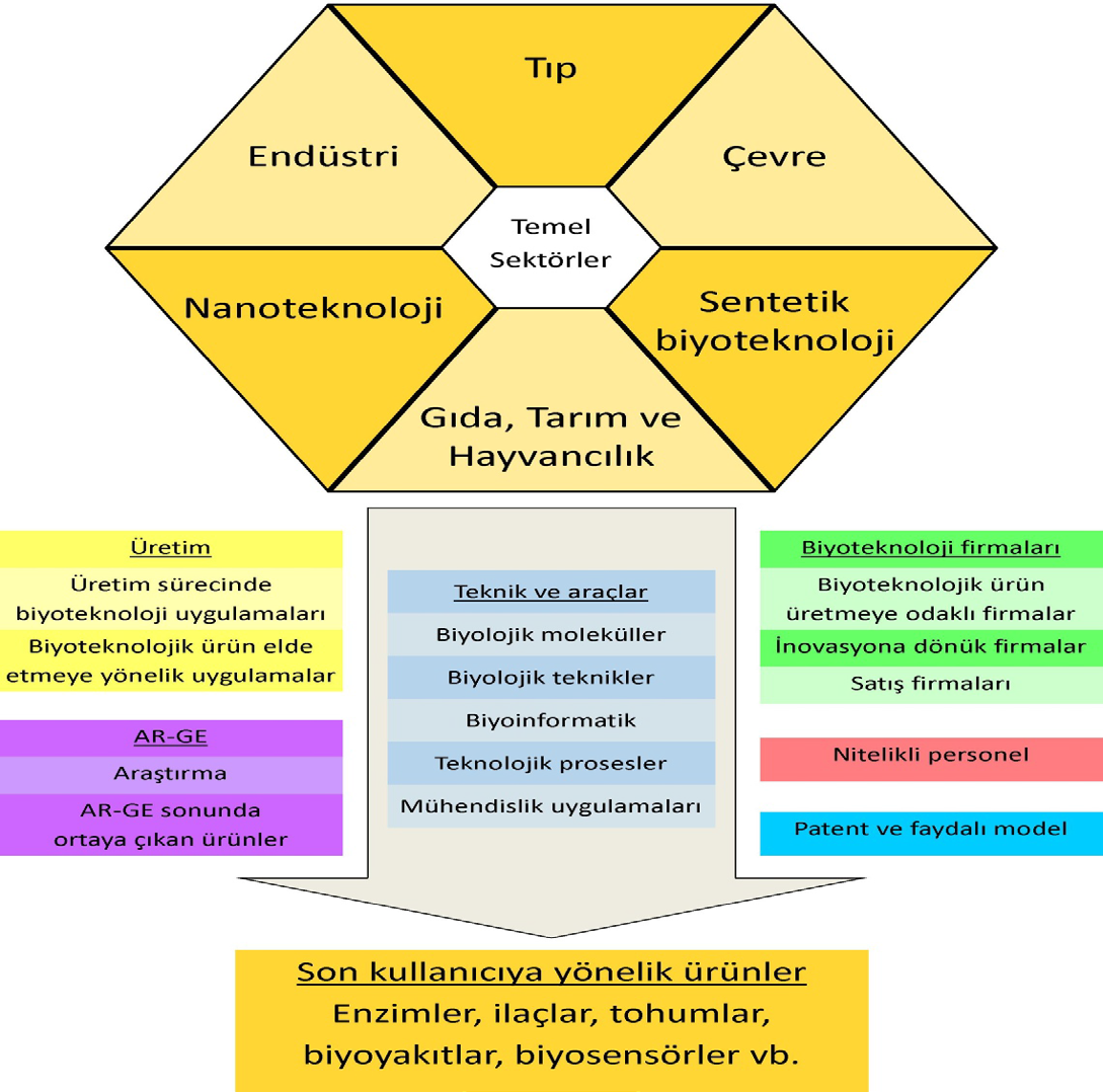BİYOTEKNOLOJİ SEKTÖREL İNOVASYON SİSTEMİ 33 Kapsam Türkiye 9.