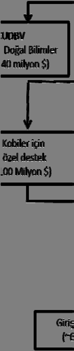 84 işçilikten bilgi yoğun yatırımlara geçmiştir. Ar-Ge politikaları iç kaynaklı inovasyon kapasitesi nin artırılması yönündedir.