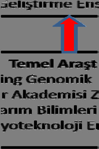 parkı olarak Çin deki bilinen biyoteknoloji bu bölgelerin inovasyon üretim ve kazanç sistemi değerleri Şekil Tablo üretim ve 6 da şematik 5 te verilmiştir. olarak gösterilmiştir.