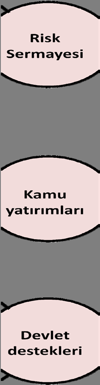 6. Biyoteknoloji alanında alan nda yenilikçilik yenilikçilik sistemi sistemi Mali ayarlamalar, insan kaynakları, proje onayı, alan tahsisi, yabancı kapital çekimi, kültürel aktivitelerin