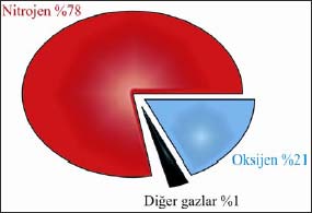 Atmosferik karışımın büyük bir bölümü nitrojen oluşturur (%78), bunu ikinci olarak oksijen (%21), daha sonra da eser miktarda yer alan diğer gazlar takip eder ve bunların toplamda miktarı %1 kadardır.