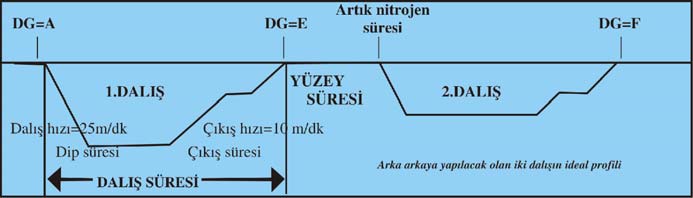 grubu, fazladan sahip olduğu nitojen miktarına göre belirlenir ve bir sonraki dalış için hesaplamalarda bu grup harfi kullanılır.