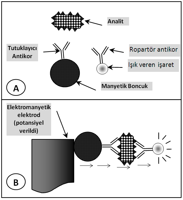 parçalanmasını sağlayan birkaç innovasyon dışında birinci basamakla yani ön hazırlık aşaması ile alakalı çok fazla araştırmaya rastlanmamaktadır.