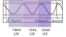 NUV olarak kısaltılan yakın mor ötesi, görünür bölgeye yakın olurken, EUV olarak kısaltılan aşırı (ekstrem) mor ötesi, X-ışınlarına yakın bölgelere karşılık gelmektedir ve en enerjik kısmıdır.