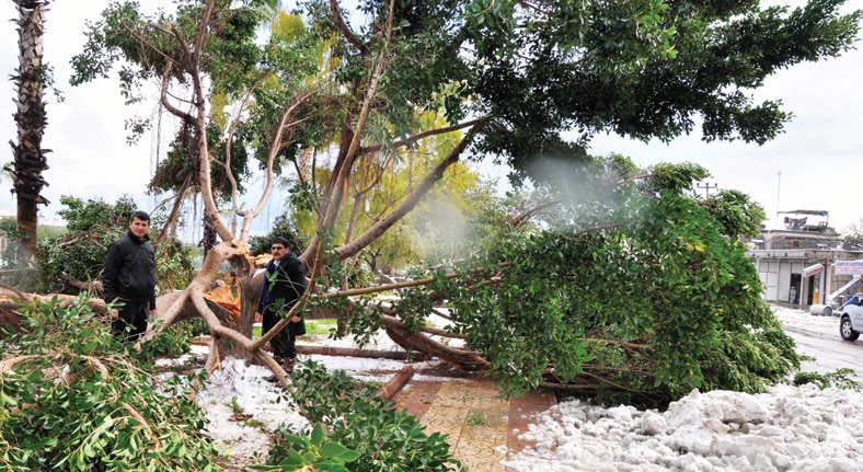 TZOB DİYOR Kİ! TZOB DİYOR Kİ! DOĞAL AFETLER Çiftçinin Belini Büküyor Bursa da özellikle şehir merkezinde maddi hasar meydana geldi. Ağaçlar söküldü.