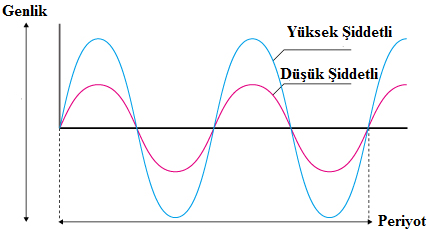 Ses Şiddeti; birim zamanda birim alana yayılan etkin ses dalga enerjisi olarak tanımlanmaktadır. Aynı zamanda gürültü olarak da algılanabilmektedir.