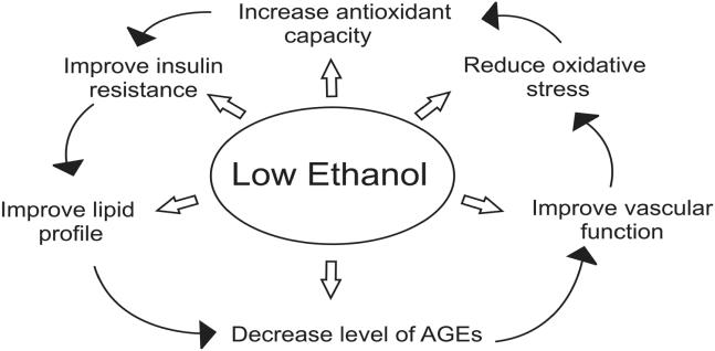 Ilımlı-orta derece alkol kullanımı kardiyovasküler olay sıklığını azaltıyor I. Alkol lipid profilini iyileştiriyor A.