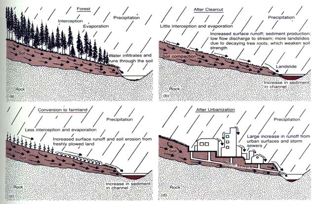 ARAZİ KULLANIMI VE TOPRAK TOPRAK EREZYON ORANLARI Musgrave (1947) 40,000 storm üzerinde yaptığı toprak kaybı ölçümlerine göre Toprak erezyon kayıpları, toprağın erezyona karşı hassasiyetine, yüzey