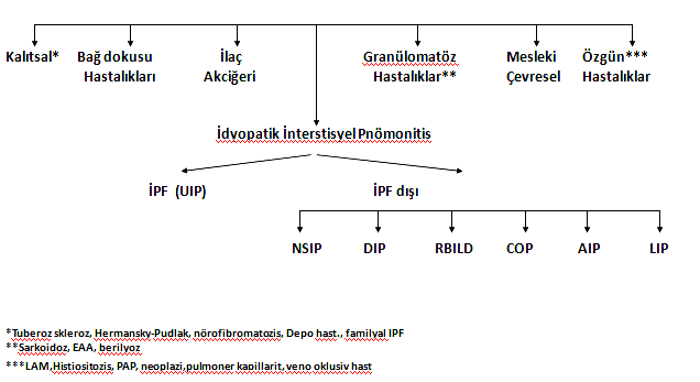 İDYOPATİK İNTERSTİSYEL PNÖMONİLER Levent Tabak Koç Üniversitesi Tıp Fakültesi İdyopatik interstisyel pnömoniler (İİP), diffüz parankimal akciğer hastalıklarının bir alt grubudur(tablo 1 ).