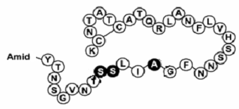 67 Asn-Thr-Tyr-NH 2 ) oluşmaktadır (Şekil 1). Bunlardan 2. ve 7. pozisyondaki sistin amino asitleri arasında bir disülfit köprüsü vardır.