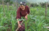 Büyük bir coşkuyla hazırlıklar tamamlandıktan sonra yola çıkılır.