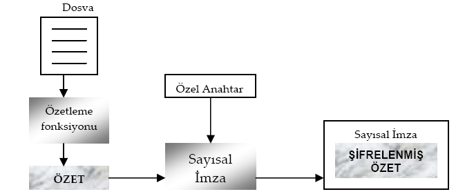 Sayısal İmza ve PKI Sayısal sertifikalar Sertifikasyon