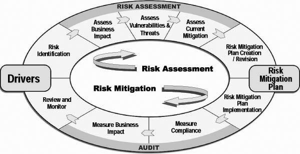 Risk yönetim prensipleri geniş bir ilgi alanına sahip olmakla birlikte, pek az organizasyon bilgi sistemleri risk yönetim programlarını oluşturmuştur.