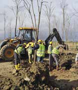 Eight mulberry trees and two plane trees on the site of the construction were uprooted under the supervision of experts, and they were placed in large pots.