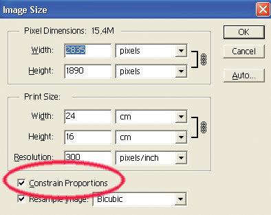 ç ç Image Size penceresinin altýnda Constrain Proportions kutucuðu vardýr. Bu kutucuk iþaretli kaldýðý zaman bir kenara ölçü verdiðinizde öteki kenar otomatik deðiþir.