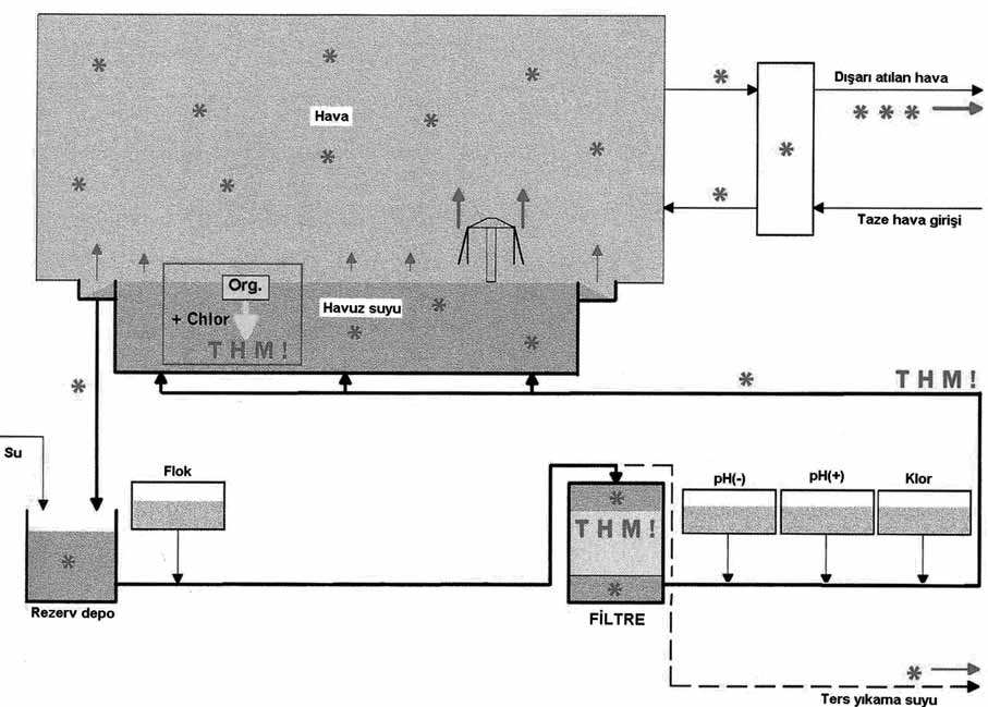 ULUSAL HAVUZ ENST TÜSÜ NATIONAL POOL INSTITUTE TSE11899 3.2.2 de Filtrasyon kademesinden sonra ozonlama yap l r. Bu ozonlama bir reaksiyon tank içinde (min 3 dakika) ozonla reaksiyona tabii tutulur.