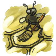 Tarım Bal Arıları İşbaşında! Kovanda, her bir arının belirli görevleri vardır. Erkek arının tek görevi, koloninin sürekliliğini sağlamak için çiftleşmektir.