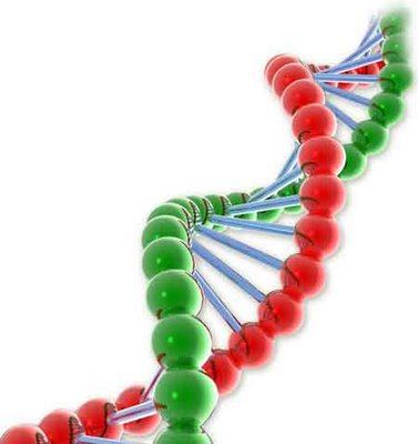 Risk Faktörleri-Genetik Bazı araştırmacılar stres tipte idrar kaçırmaya yol açacak şekilde bağ dokusunda gelişen atrofi ve zayıflık açısından genetik zeminin varlığını