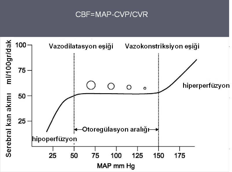 Şekil 4: İskemik penumbra a) Grafik (solda) : Elektriksel yetmezlik için beyin kan akımın (CBF- cerebral blood flow) eşik değeri < 20ml/100 gr/dak.dır.