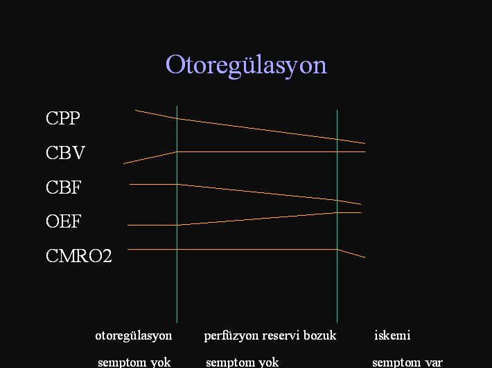 Şekil-5b:Bu kapasite aşıldıktan sonraki CPP düşmeleri artık CBF da azalma ile sonuçlanır.