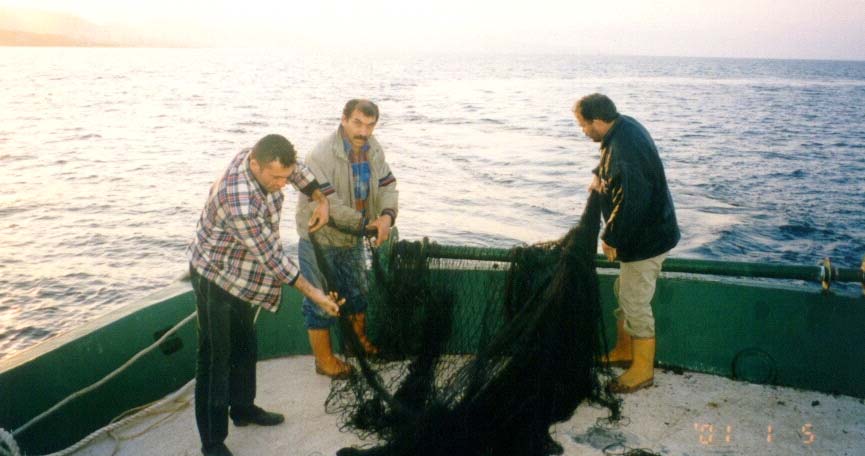 17 I Amaç Bu proje çalışması; Karadeniz de pelajik balık avcılığında yaygın olarak kullanılan gırgır ağlarının yarattığı aşırı av baskısını minimum düzeye çekebilmek, Karadeniz deki en önemli pelajik