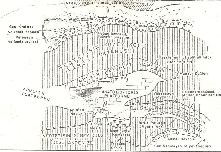 Şekil.5: Üst kratese Paleosen paleotektonik haritası.(mc.kenzie, 1972, Şengör 1979, Kidd 1979) 2.6.