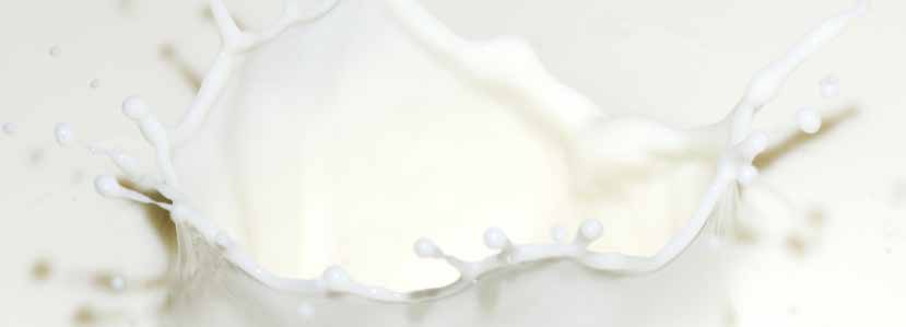 2.1.3. Süt Üretimi TÜİK verilerine göre, 2011 yılı Ocak-Mayıs döneminde toplanan süt miktarı, 2010 yılının aynı dönemine göre %8,2 artarak 3 milyon 80 bin 648 tona ulaşmıştır.
