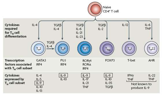 Rev. Immunol.