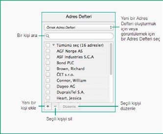 Format Alanı Format alanı etiketlerin üzerindeki objelerin özelliklerinin görüntülendiği ve düzenlendiği alandır. Temel ve gelişmiş özellikler obje çeşidine göre değişir.