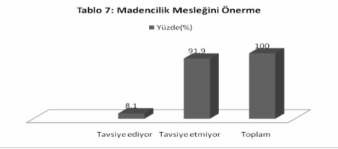 26-35 yaş aralığında yer alanlar, daha önce dolmuşçuluk, pastanecilik, taksicilik ve aşçılık gibi geçici işlerde çalışmışlardır.