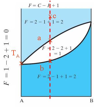 b noktasında: F=2 (2 Faz: sıvı ve ) B=2 (Bileşenler: A ve B) S = 2 2 + 1 = 1 Tek değişken: Sıcaklık a noktasında: F=2 (2 Faz: sıvı ve ) B=2 (Bileşenler: