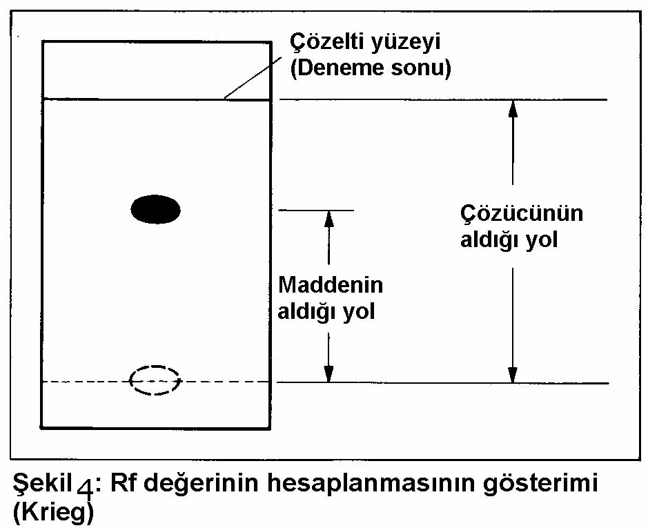 Hareketli faz Durağan faz moleküller Kromatografi işlemi A ve B maddelerinden oluşan karışım, sabit fazla birlikte kolonun başlangıç bölgesine uygulanır ve hareketli faz (sıvı veya gaz) akmaya