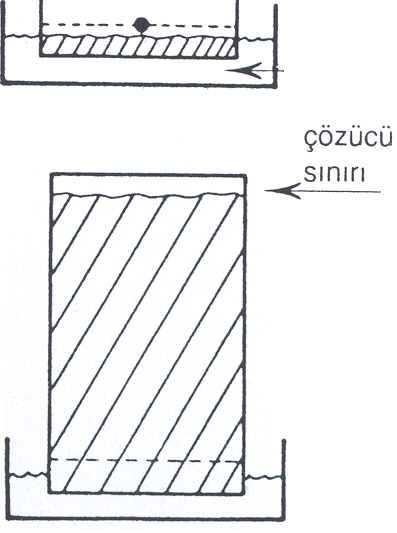 Buna göre gaz kromatografinin bir "gaz-sıvı dağılım kromatografisi" olduğunu belirtebiliriz. 4.