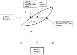 b) Çözünmezlik Durumunda Ötektik Reaksiyon Faz diyagramlar yardmyla iki fazn birlikte bulunduu bölgede belirli bir scaklktaki fazlarn deriikliklerini bulmak mümkündür.
