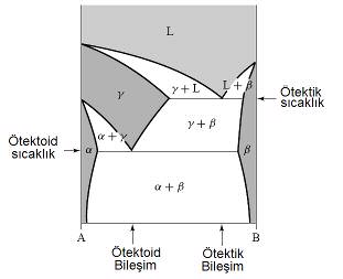 Baz bileimlerde ötektik reaksiyon görülmeyebilir ve oda scaklnda dorudan >-faznn bölgesine inildiinde tek fazl çok taneli