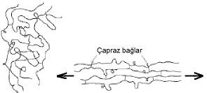 Elastomerlerin 3ekil Deiimi Artan çapraz balar$n rijitlie etkisi Elastomerler kopma olumadan %1000 e