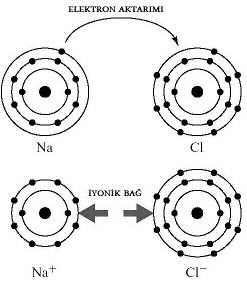 yonik Ba Bir atomdan dierine elektron aktarm ile oluur. 9yonik balar metallerle ametaller ve metallerle kökler arasnda oluan balardr.