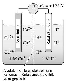 Oluan metal oksidin yüzeye tutunmas ve koruyucu karakterine göre oksit tabakasnn kalnl parabolik veya dorusal olarak artar.