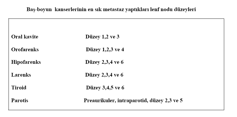 Materyal tipleri: 1) Radikal boyun diseksiyonu: Mandibulanın infeiror sınırından klavikulaya, strap kasların lateral sınırından trapezius kasının anteior sınırına kadar boyunun tek tarafında bulunan