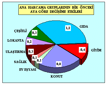 TÜFE oldukça kapsamlı ve detaylı bir indeks çalışmasıdır. Önemli miktarda tüketim malı, belirli mal ve hizmet alt gruplarında toplanmış olarak değerlendirilmektedir.