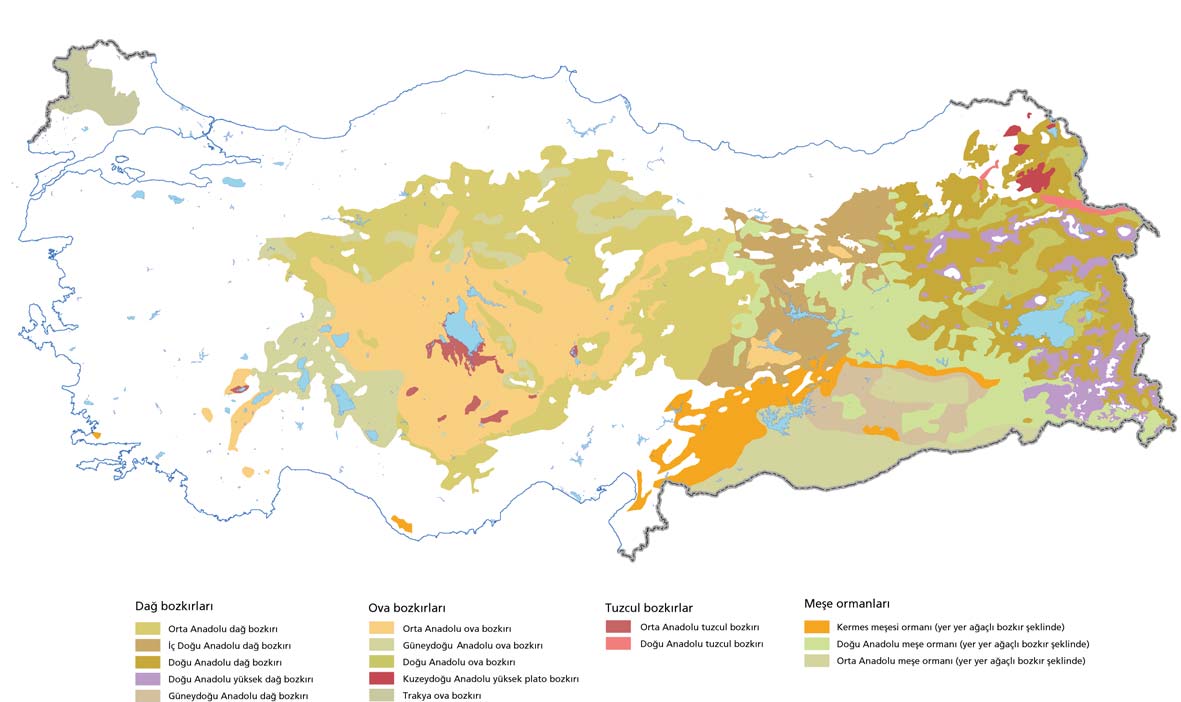 Türkiye deki bozkýrlarýn daðýlýþý YeþilAtlas ve Doða Derneði Endemizm Küçük bir kýta olarak da tanýmlanabilecek olan Anadolu'nun benzersiz bir kara parçasý olmasýný saðlayan diðer bir nokta ise