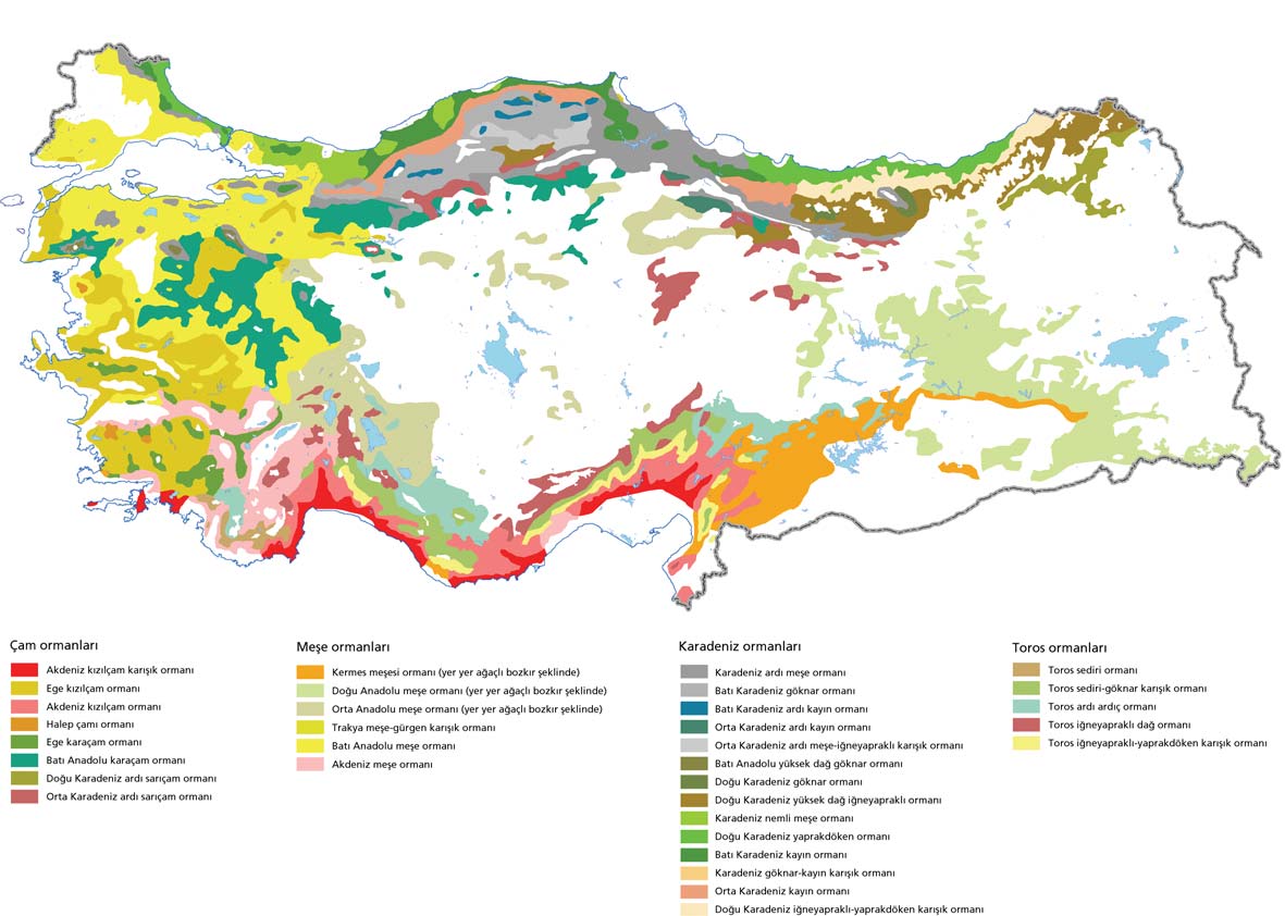 Türkiye deki ormanlarýn daðýlýþý YeþilAtlas ve Doða Derneði ormanlarý olarak gruplandýrýlýr.