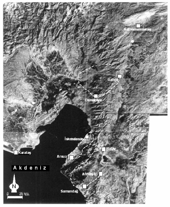 Bu araştırmacılardan Kober (1915), Hatay ofiyolitlerinin ve radyolaritlerinin allokton kütleler olduğunu ve Arap bloğu üzerine şariye olmuş ilk napları teşkil ettiklerini söylemiştir.