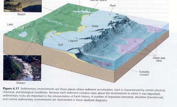 Sedimanter Ortamlar Bu bölümün başında vurgulandığı gibi sedimanter kayaçlar dünya tarihinin yorumlanmasında önemlidir.