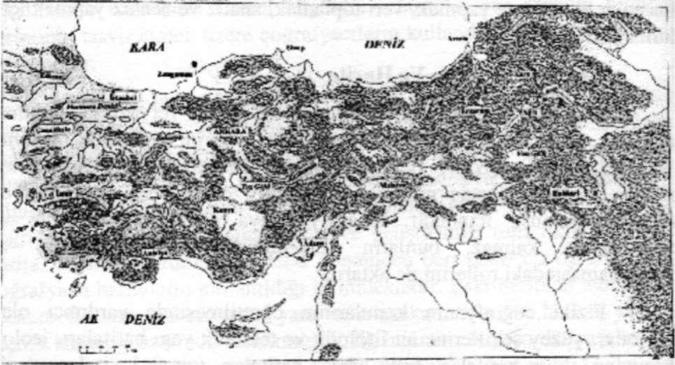 MEHMET ÜNLÜ - SÜHEYLA ÜÇIŞIK- RAMAZANÖZEY 16 2-Beşeri Coğrafya Ve Harita Coğrafya konusu içinde yer alan bir diğer unsur ise canlılardır.