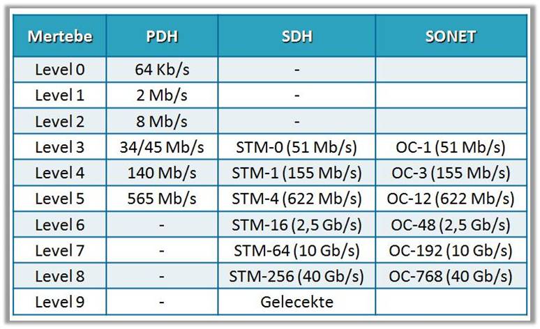 tek bir iletim ortamı üzerinden iletilmesi işlemidir.