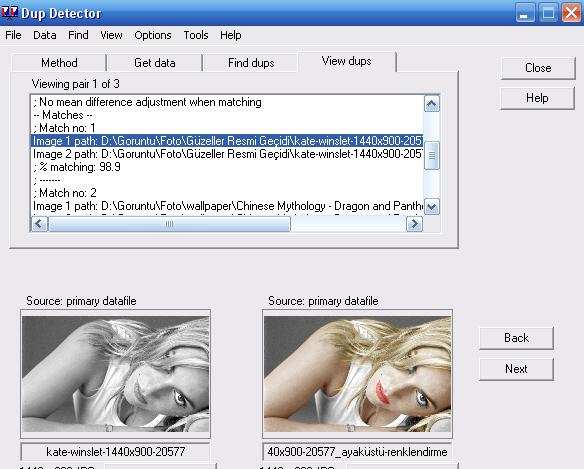 Daha da sonra bir resmin yönünü değiştirerek, aynalayarak ve renklerinin tersini alarak çeşitli denemeler yaptım, Dup Detector bu sefer sınıfı zar zor geçerken, VisiPics hiçbir varlık gösteremedi.